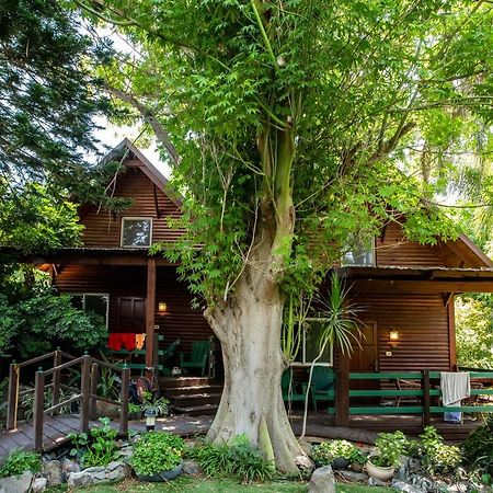 Invito Villa Rosh Pinna Luaran gambar